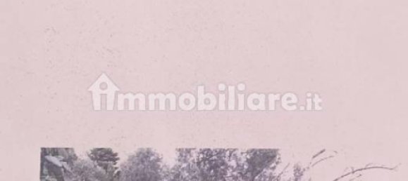 Terrain à Monreale, Italy 3500m² No. 105479 2