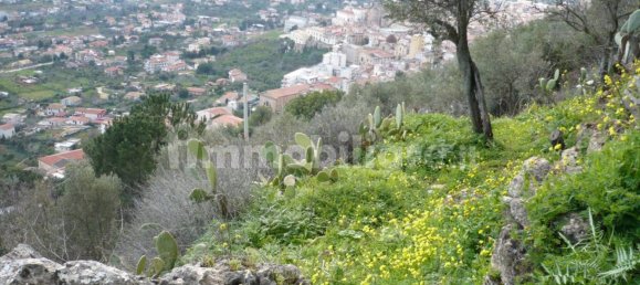 Terrain à Monreale, Italy 3500m² No. 105479 9