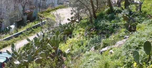 Terrain à Monreale, Italy 3500m² No. 105479 14