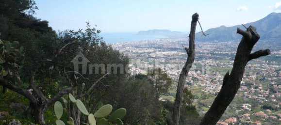 Terrain à Monreale, Italy 3500m² No. 105479 8