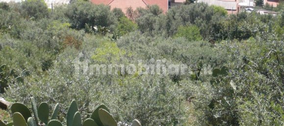 Terrain à Monreale, Italy 3500m² No. 105479 10