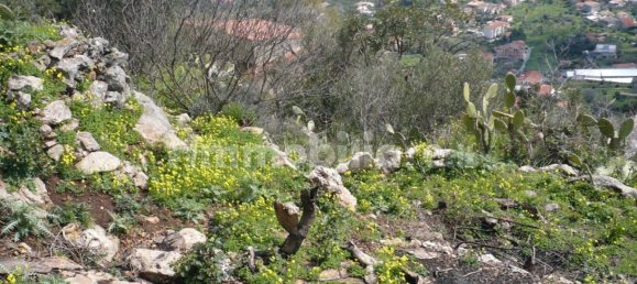 Terrain à Monreale, Italy 3500m² No. 105479 12