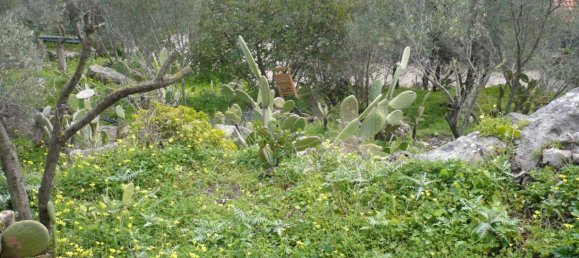 Terrain à Monreale, Italy 3500m² No. 105479 15