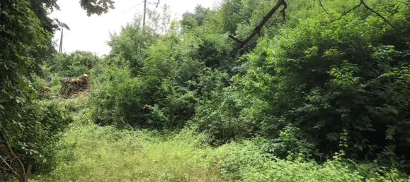 831m² Land in Lend, Austria No. 184 3