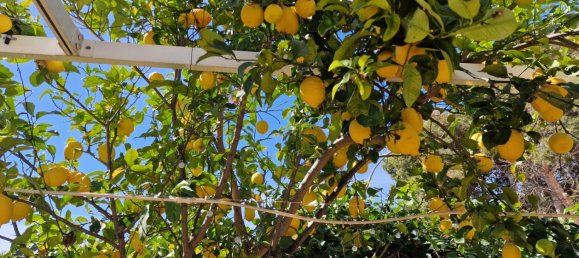 4 bedrooms Townhouse in Finestrat, Spain No. 10200 29