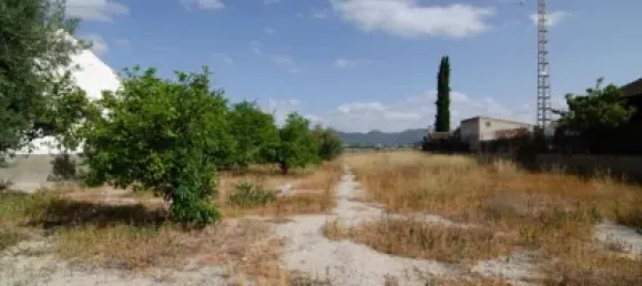  Land in Era Alta, Spain No. 107270 13