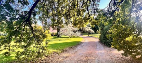 8 bedrooms Castles in Elvas, Portugal No. 103765 50