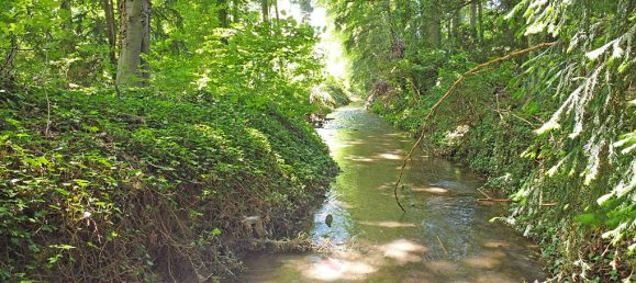 Terreno en Bergstrase, Germany No. 249135 6