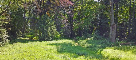 Terreno en Bergstrase, Germany No. 249135 9