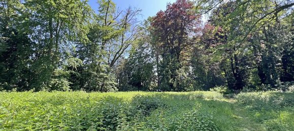 Terreno en Bergstrase, Germany No. 249135 10