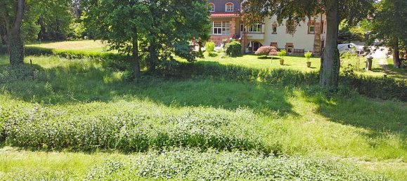 Terreno en Bergstrase, Germany No. 249135 4