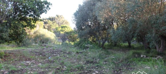 2 Schlafzimmer Villa in Bonifacio, France, Nr. 214860 37