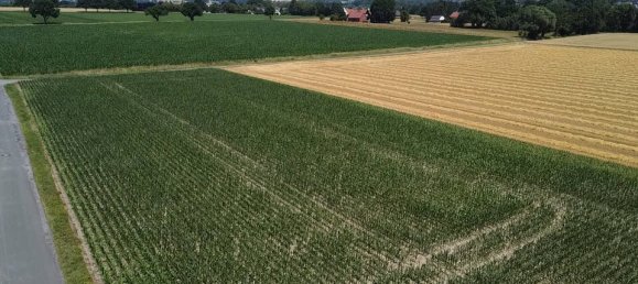 Земельный участок в Минден-Люббекке, Германия № 172855 2