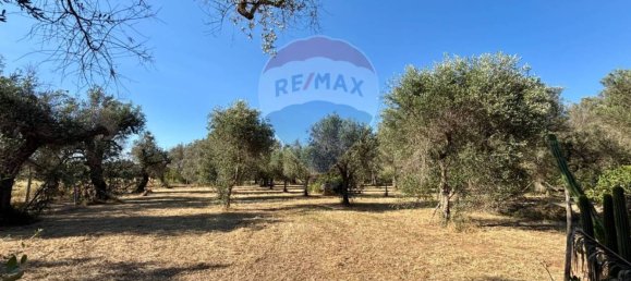 3 bedrooms Villa in Oria, Italy No. 348514 19