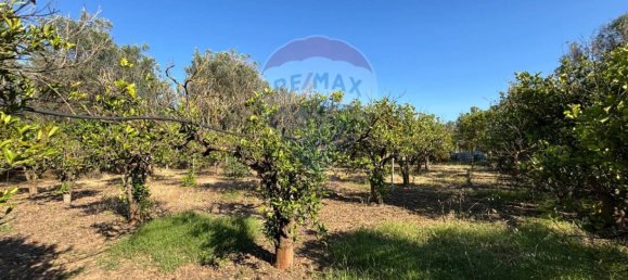 3 bedrooms Villa in Oria, Italy No. 348514 18