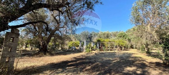 3 bedrooms Villa in Oria, Italy No. 348514 16