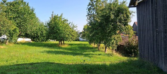 5 rooms House in Zwettl-Niederosterreich, Austria No. 233986 20