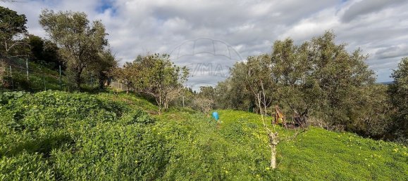 2 bedrooms Villa in Palmela, Portugal No. 173142 48