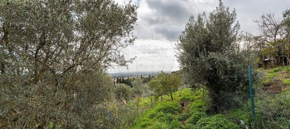 2 bedrooms Villa in Palmela, Portugal No. 173142 47