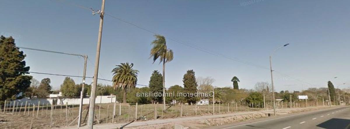 Grundstück in Montevideo, Uruguay, Nr. 15109