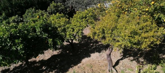 Villa de 2 dormitorios en Trapani, Italy No. 157173 15