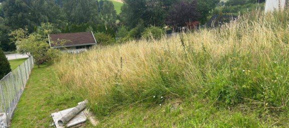 Grundstück in St. Veit im Mühlkreis, Austria, Nr. 112053 4