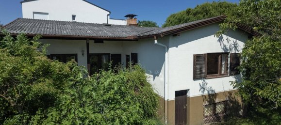 3 rooms Bungalow in Rust, Austria No. 197947 2