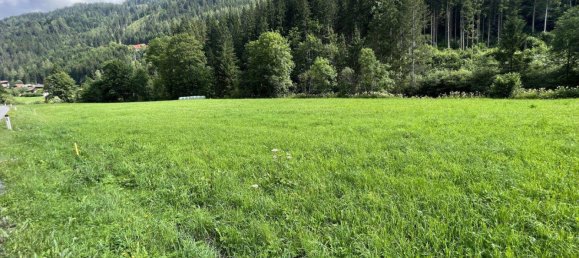  Land in Murau, Austria No. 31473 2