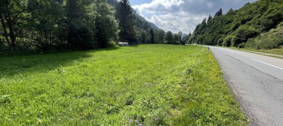  Land in Murau, Austria No. 31473 4