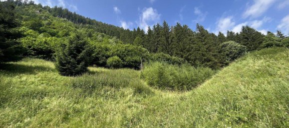  Land in Murau, Austria No. 31473 7