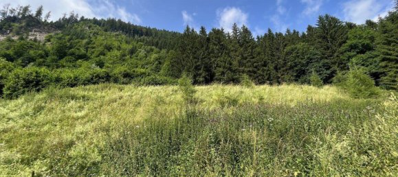  Land in Murau, Austria No. 31473 8