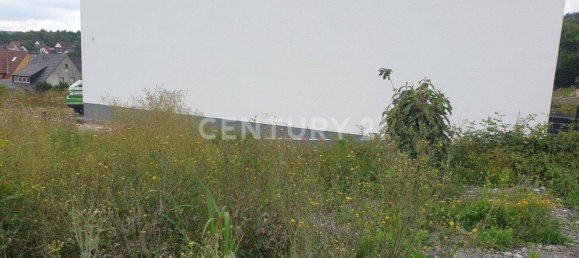 Grundstück in Märkischer, Germany, Nr. 350751 6