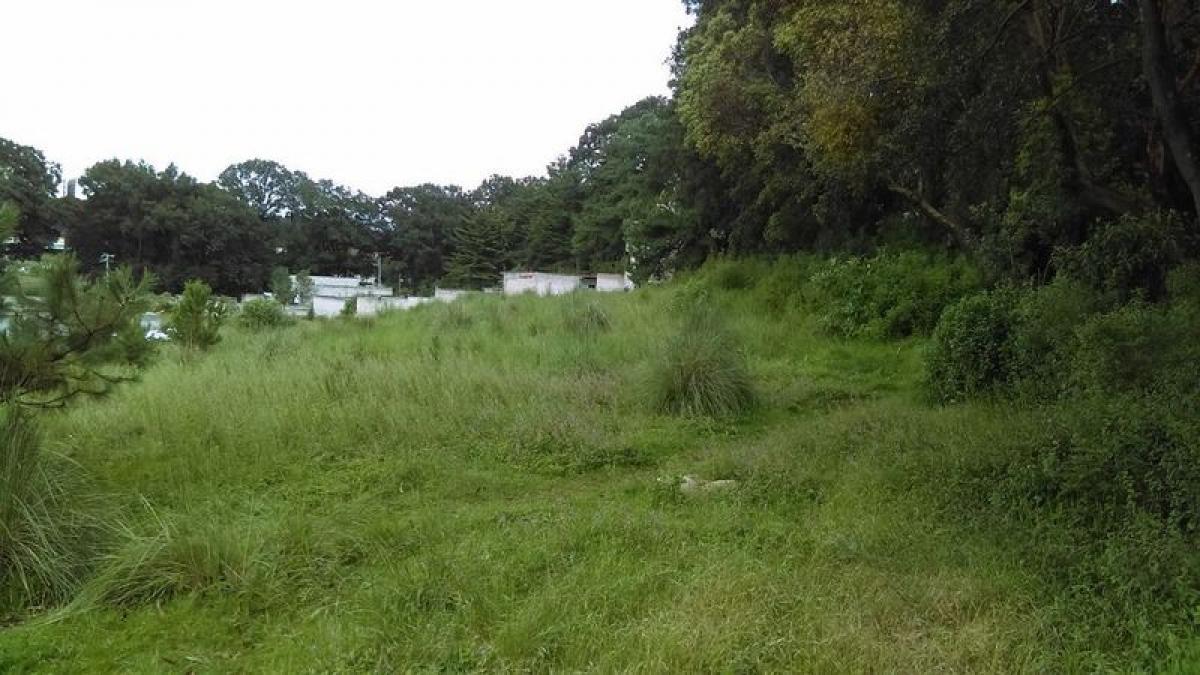  Land in Lerma, Mexico No. 204447