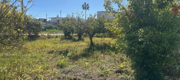 1118m² Commercial property in Murcia, Spain No. 190286 2