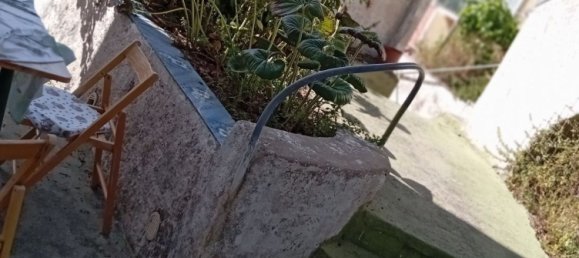 9-Zimmer Villa in Forio, Italy, Nr. 289104 9