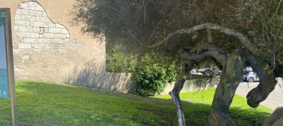 5 rooms Villa in Stintino, Italy No. 266147 2