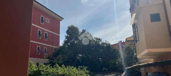 2-Zimmer Wohnung in Lavagna, Italy, Nr. 18321 13