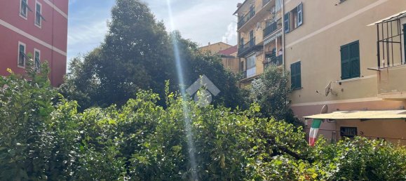 2-Zimmer Wohnung in Lavagna, Italy, Nr. 18321 12