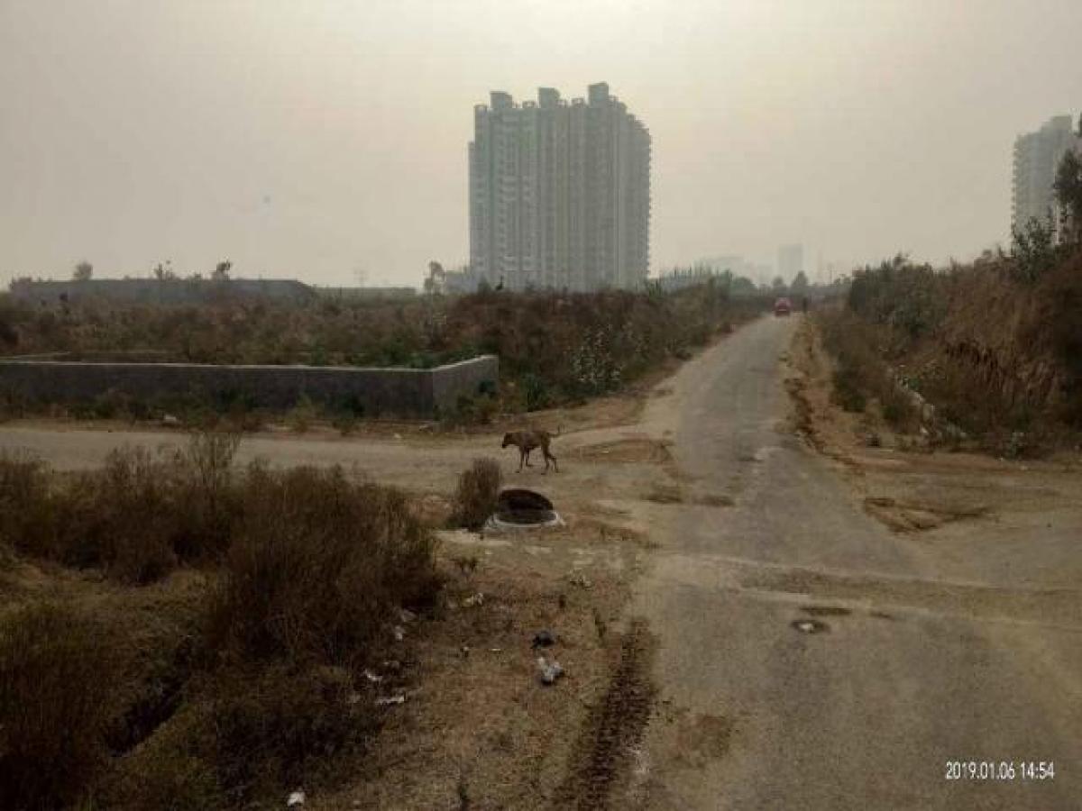 Grundstück in Noida, India, Nr. 65555