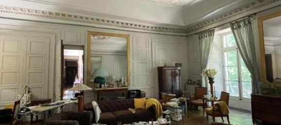 13 bedrooms Castles in Dordogne, France No. 293386 5