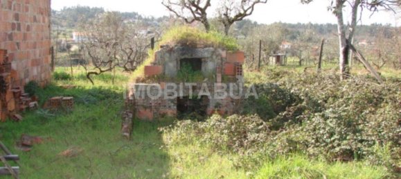 1100m² Land in Tabua, Portugal No. 68668 3