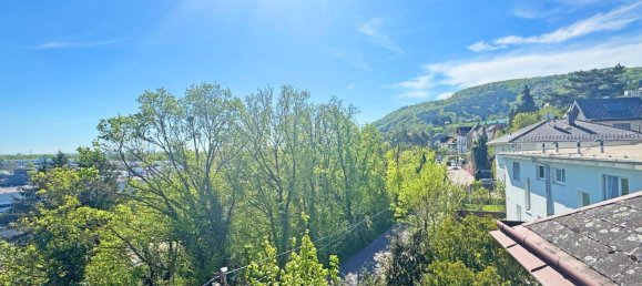 8 rooms Villa in Klosterneuburg, Austria No. 4549 31