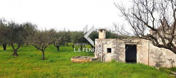 Дом с 2 комнатами в Мартина Франка, Италия № 19353 10