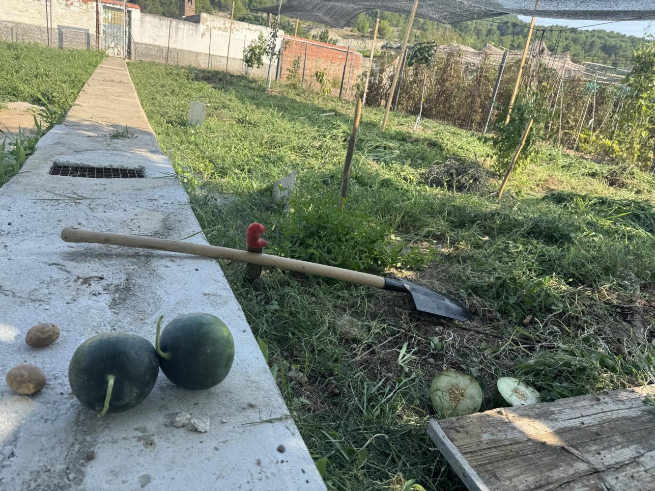  قطعة أرض في Vilanova del Cami, Spain 500متر مربع رقم 276101