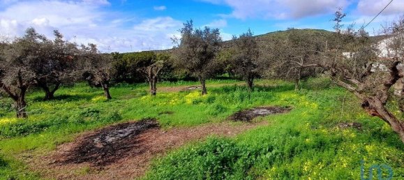 6 غرف نوم تاون هاوس في Elvas, Portugal رقم 146323 19