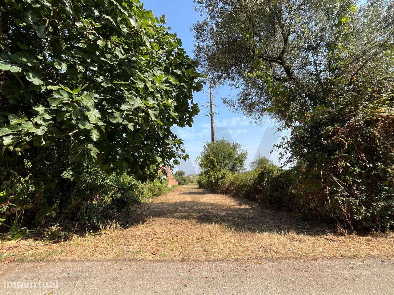 980m² Land in Cacia, Portugal No. 250779