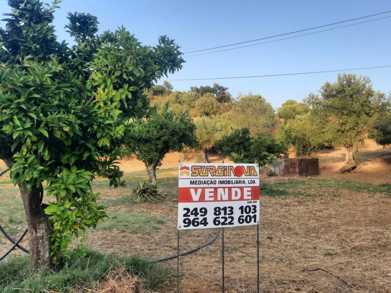  Land in Torres Novas, Portugal No. 266834