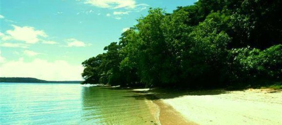 Terrain à Port-Vila, Vanuatu 1971m² No. 151 10