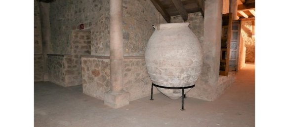 3 bedrooms House in Sepulveda, Spain No. 125101 11