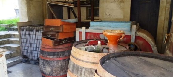 Дом с 14 спальнями в Калдаш да Раинья, Португалия № 140546 6